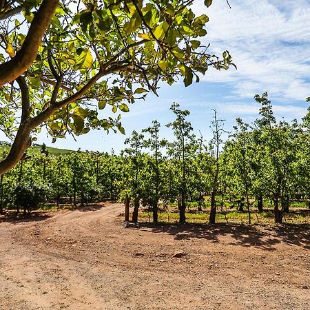 Galileo Farm Villa Elgin  Luaran gambar