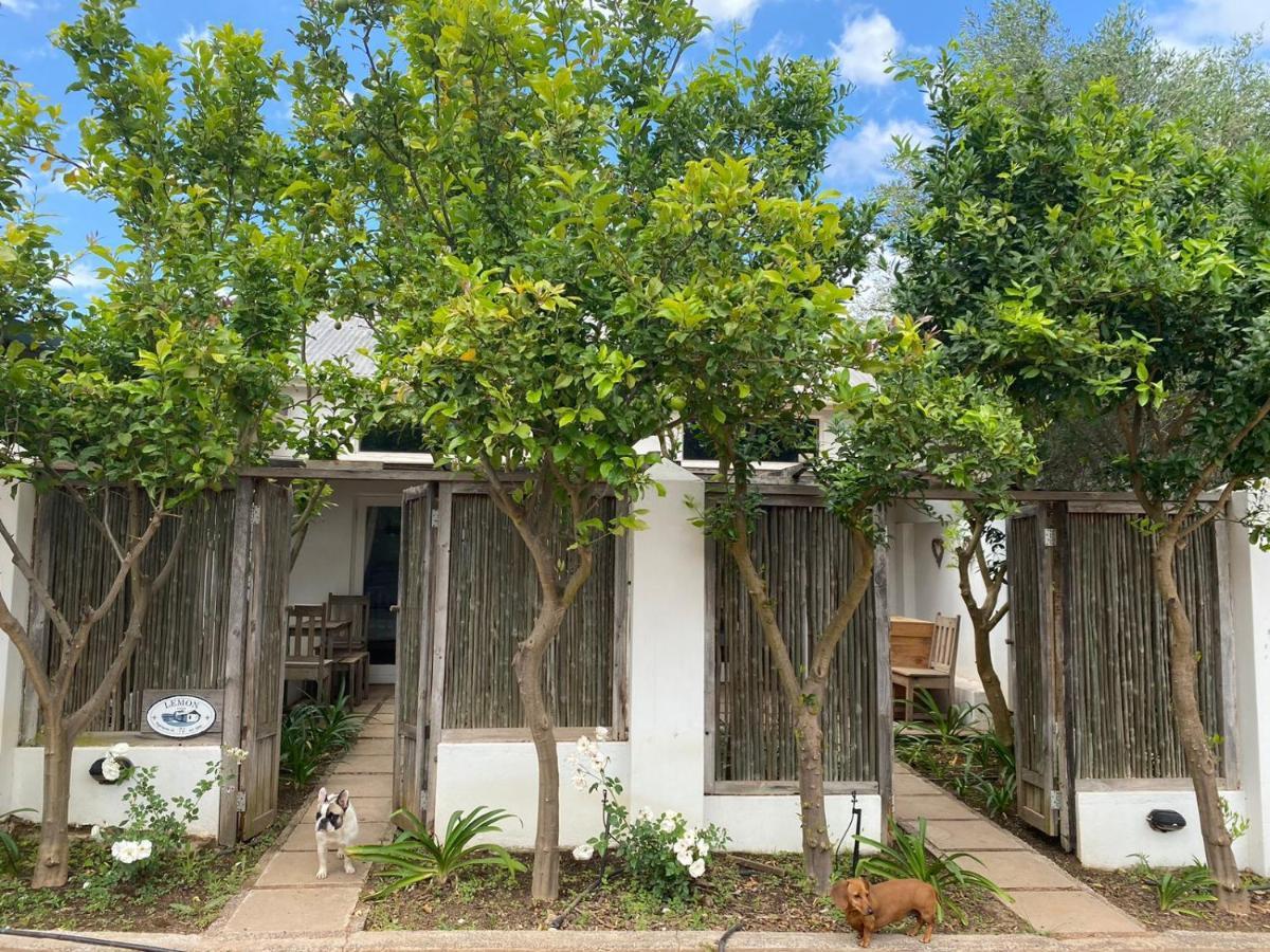 Galileo Farm Villa Elgin  Luaran gambar