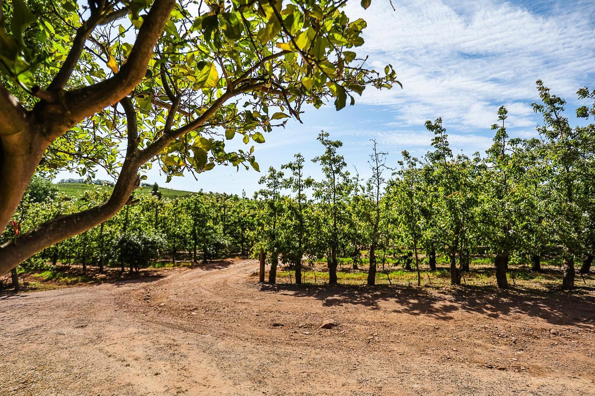Galileo Farm Villa Elgin  Luaran gambar
